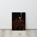 Afrobotica Pointe Constellation Canvas (12 x 16)